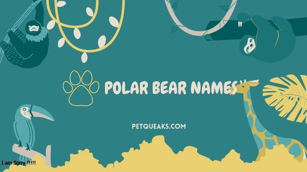 91 Polar Bear Names Cute Famous And Funny Collection